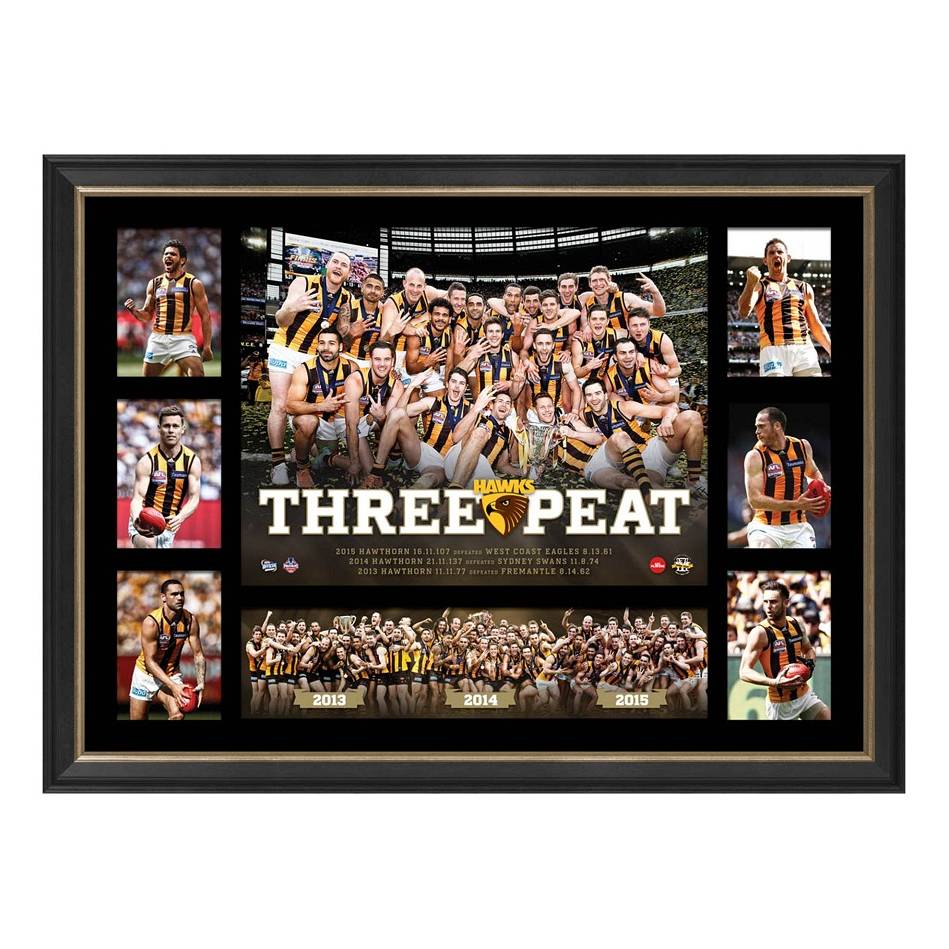 HAWTHORN PREMIERS TRIBUTE FRAME 'THREE-PEAT