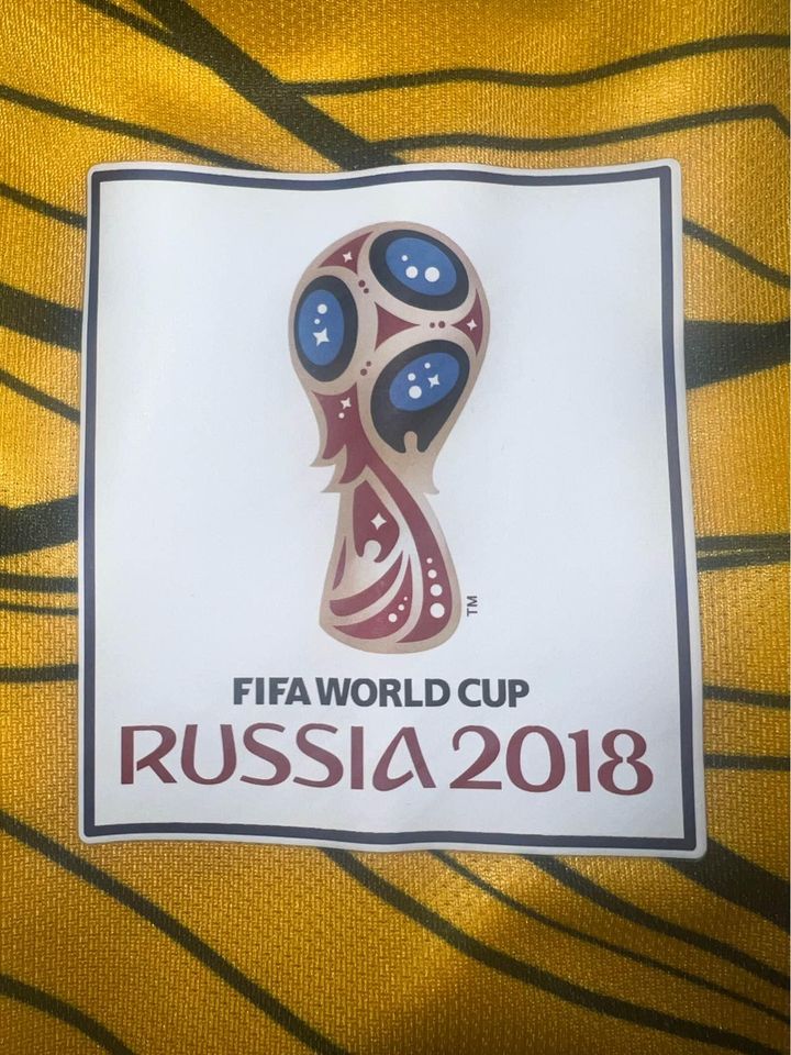 Jackson Irvine Socceroos 2018 World Cup Home