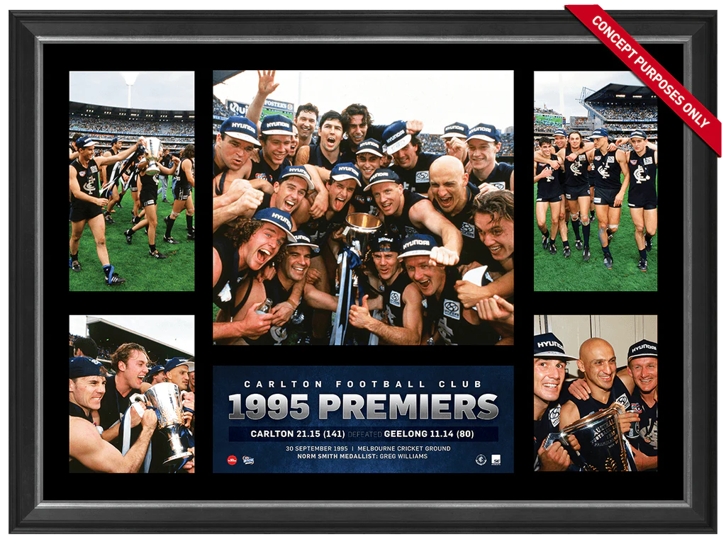 Carlton 1995 Premiers Super Frame