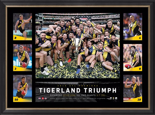 Richmond 2019 Premiers Tribute Frame – TIGERLAND TRIUMPH