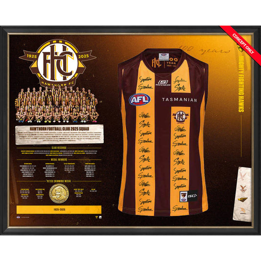 Hawthorn 100 Year Team Signed Guernsey Display